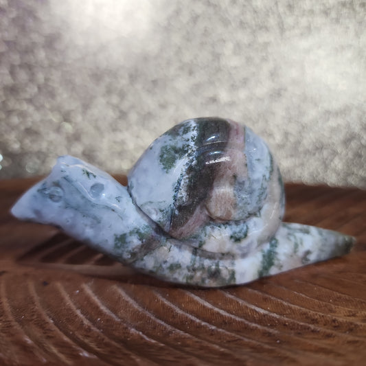 Moss Agate Snail