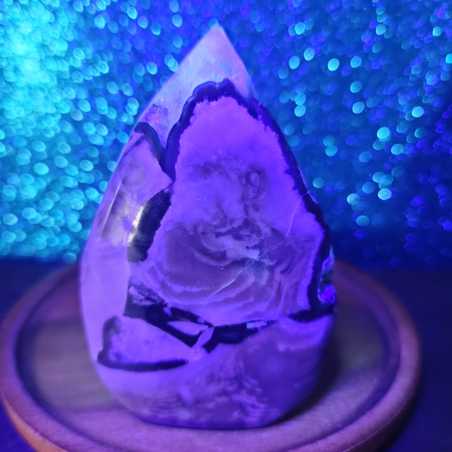 Volcanic Agate Spade