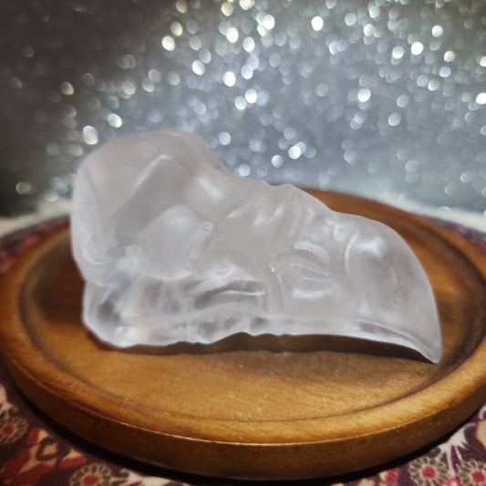 Clear Quartz Crow Skull