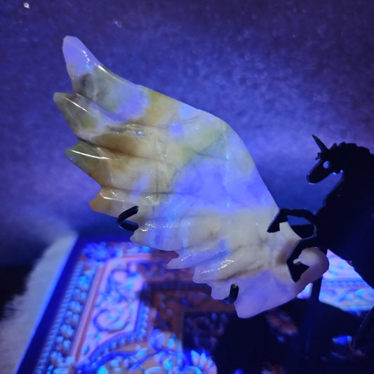 Flourite Unicorn Wings