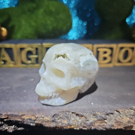 Caribbean Calcite Skull