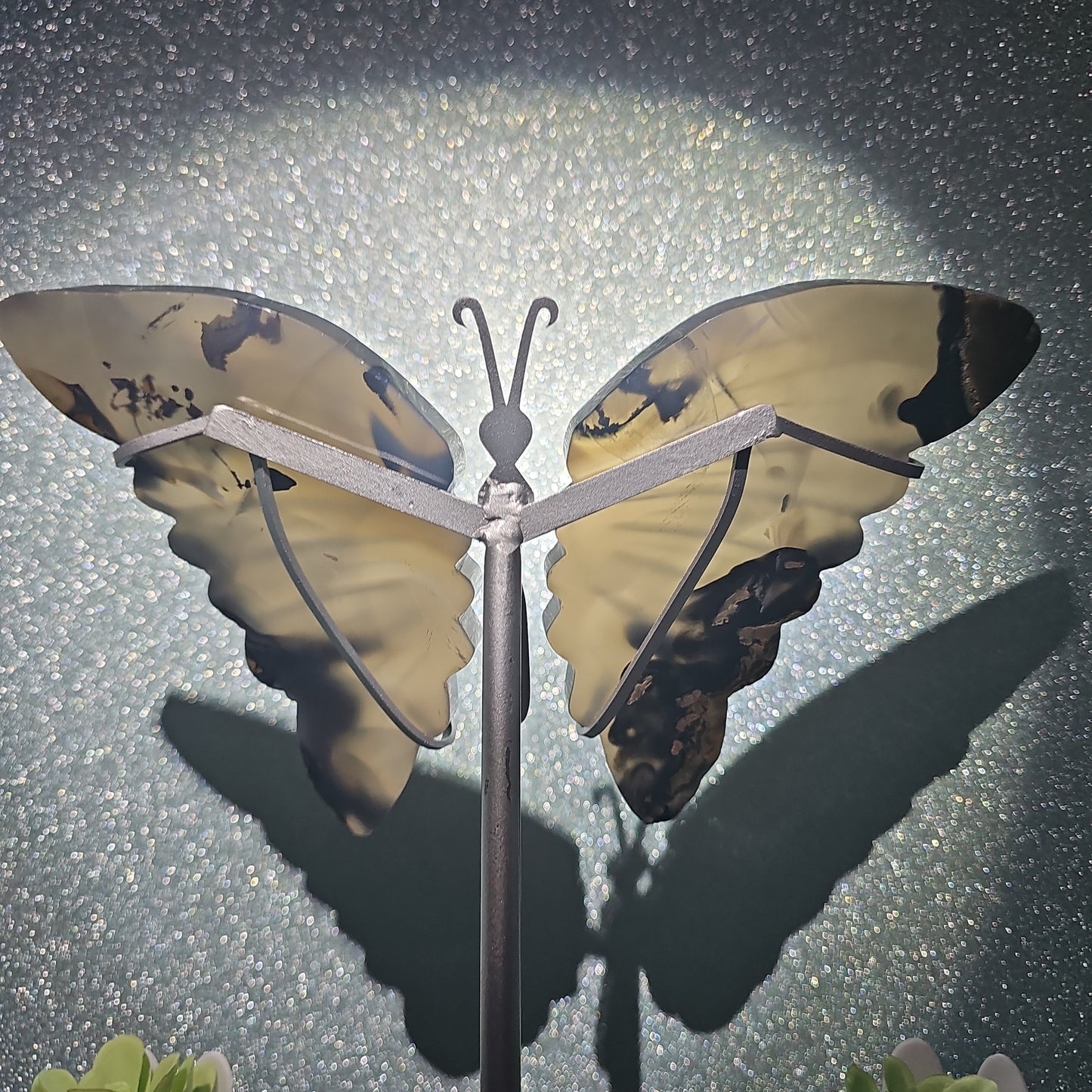 Volcanic Agate Butterfly Wings