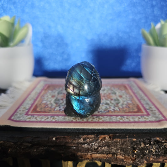 Labradorite Boyfriend Ding-Ding
