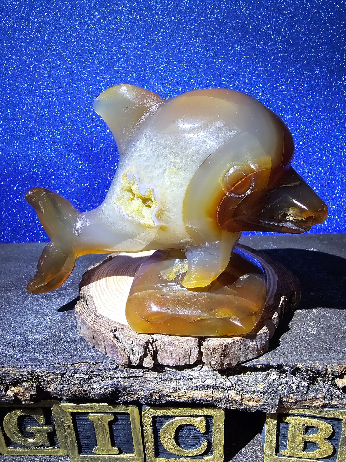 Carnelian Agate Dolphin