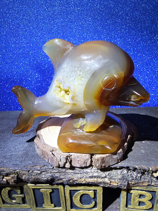 Carnelian Agate Dolphin