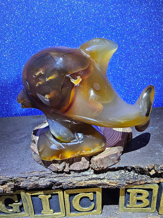 Carnelian Agate Dolphin