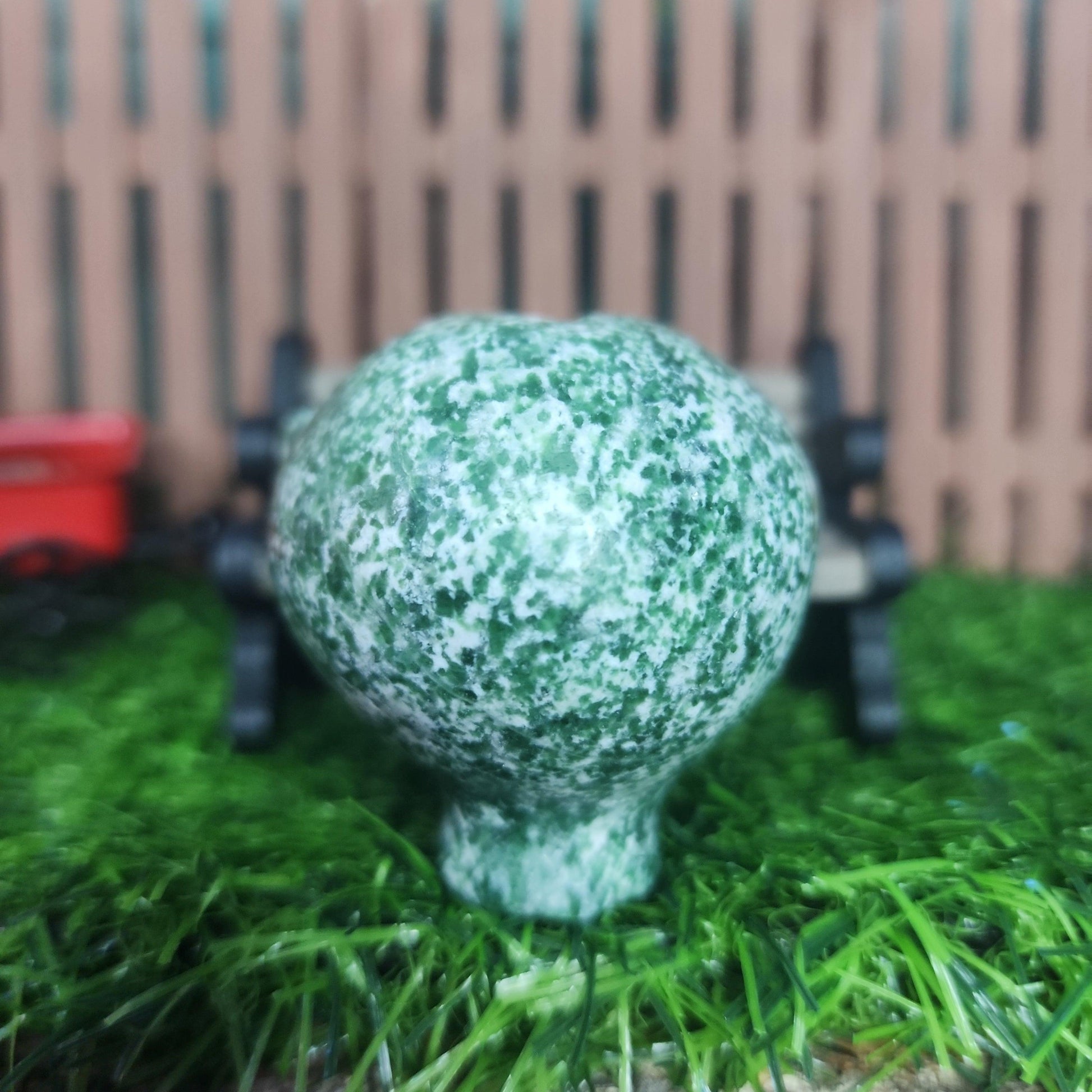 Tree Agate Alien Head - MagicBox Crystals