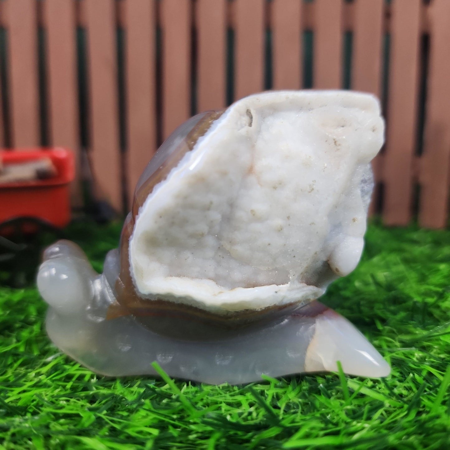 Agate Snail Carving - MagicBox Crystals