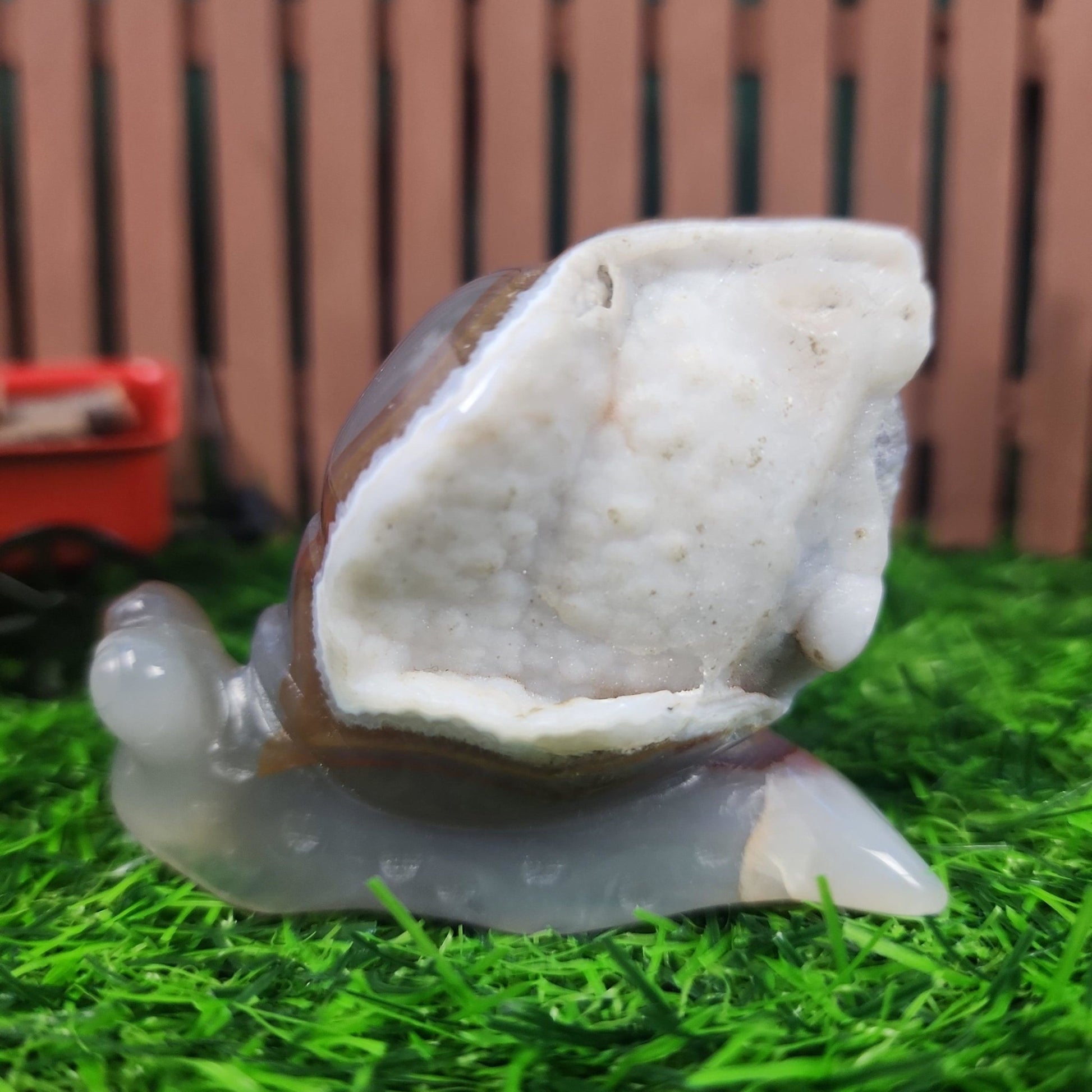 Agate Snail Carving - MagicBox Crystals