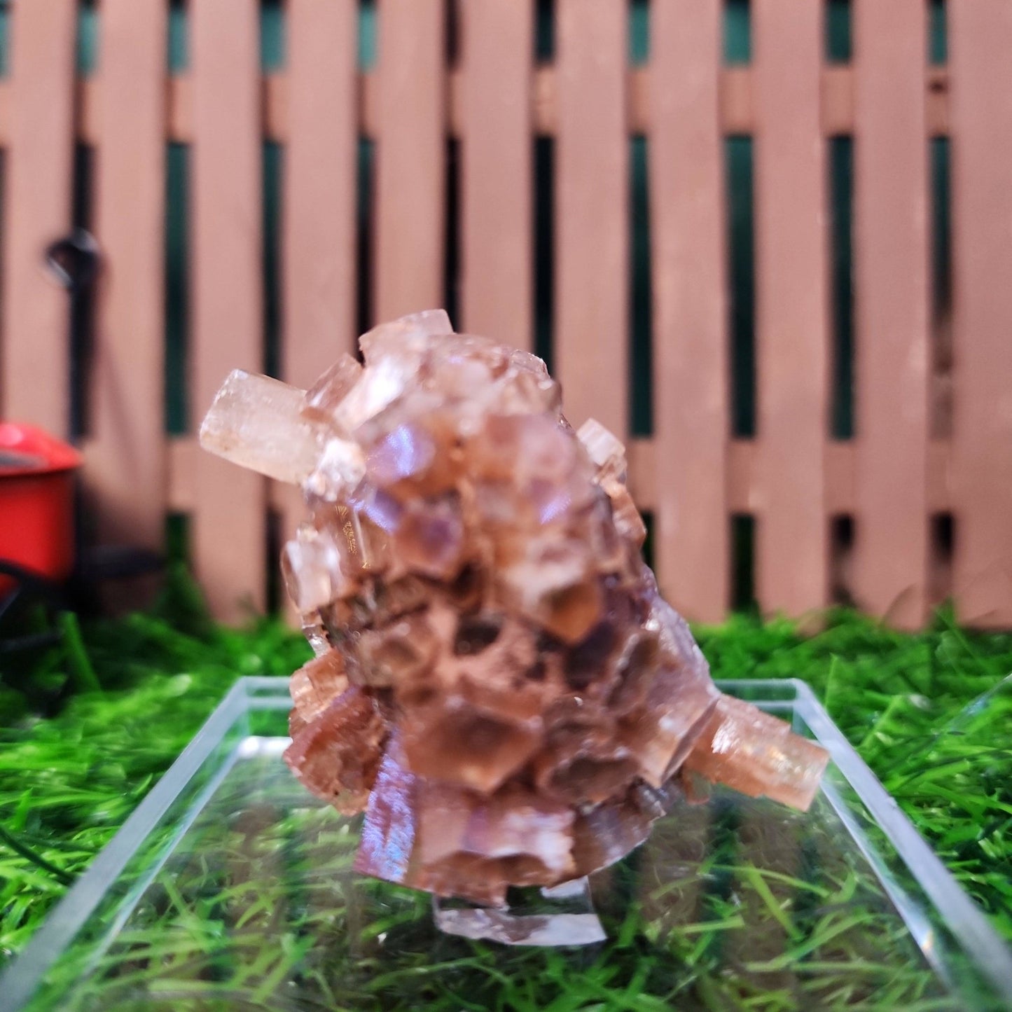 Aragonite Star Cluster - MagicBox Crystals