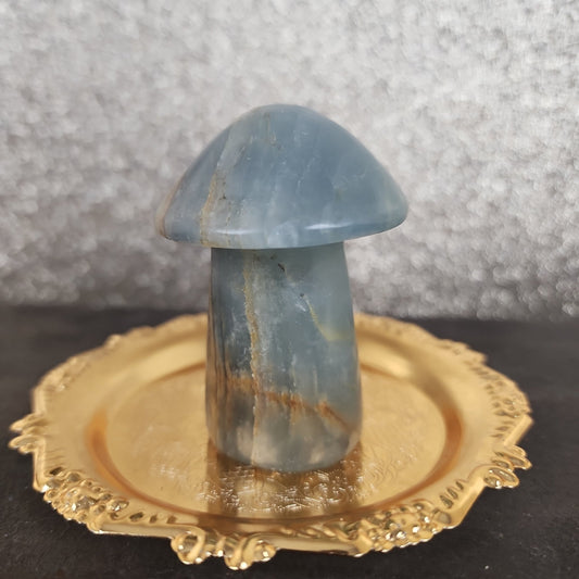 Blue Onyx Mushroom - MagicBox Crystals