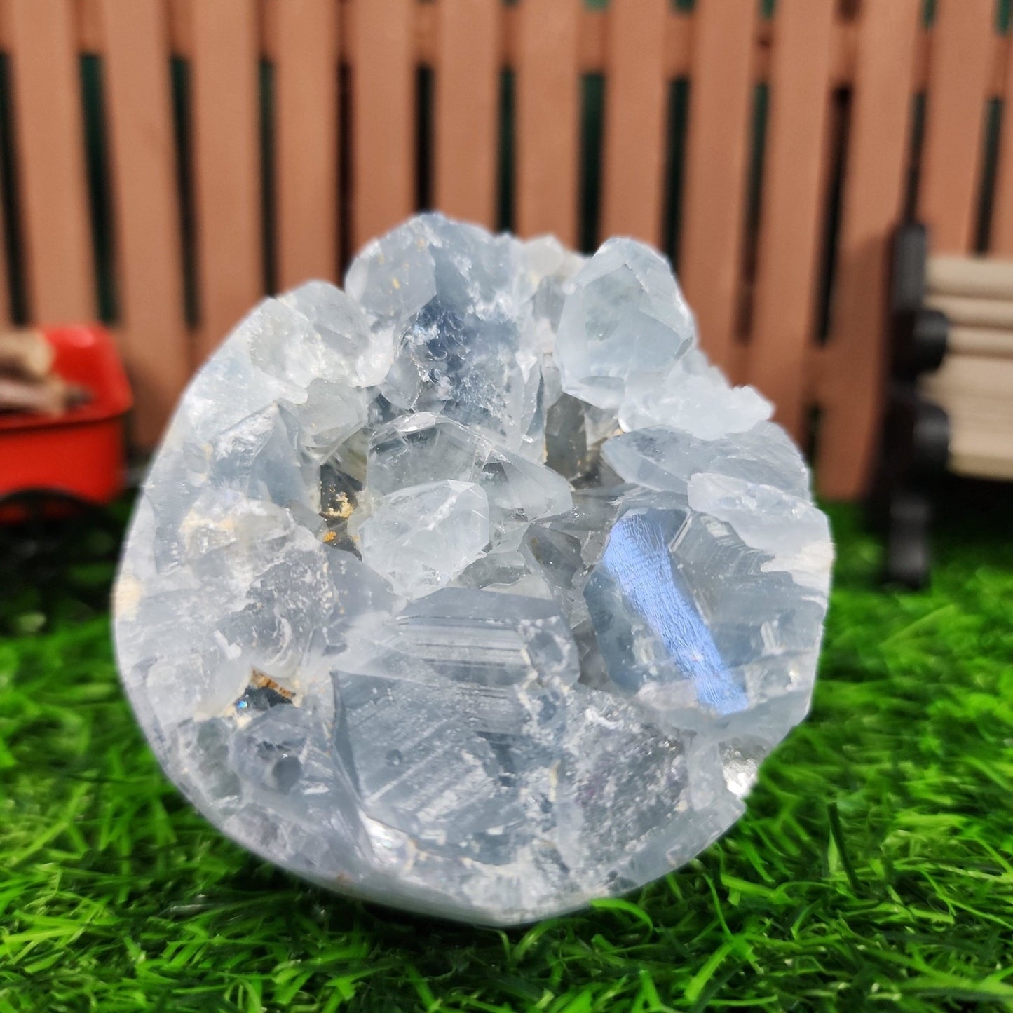 Celestite Geode - MagicBox Crystals