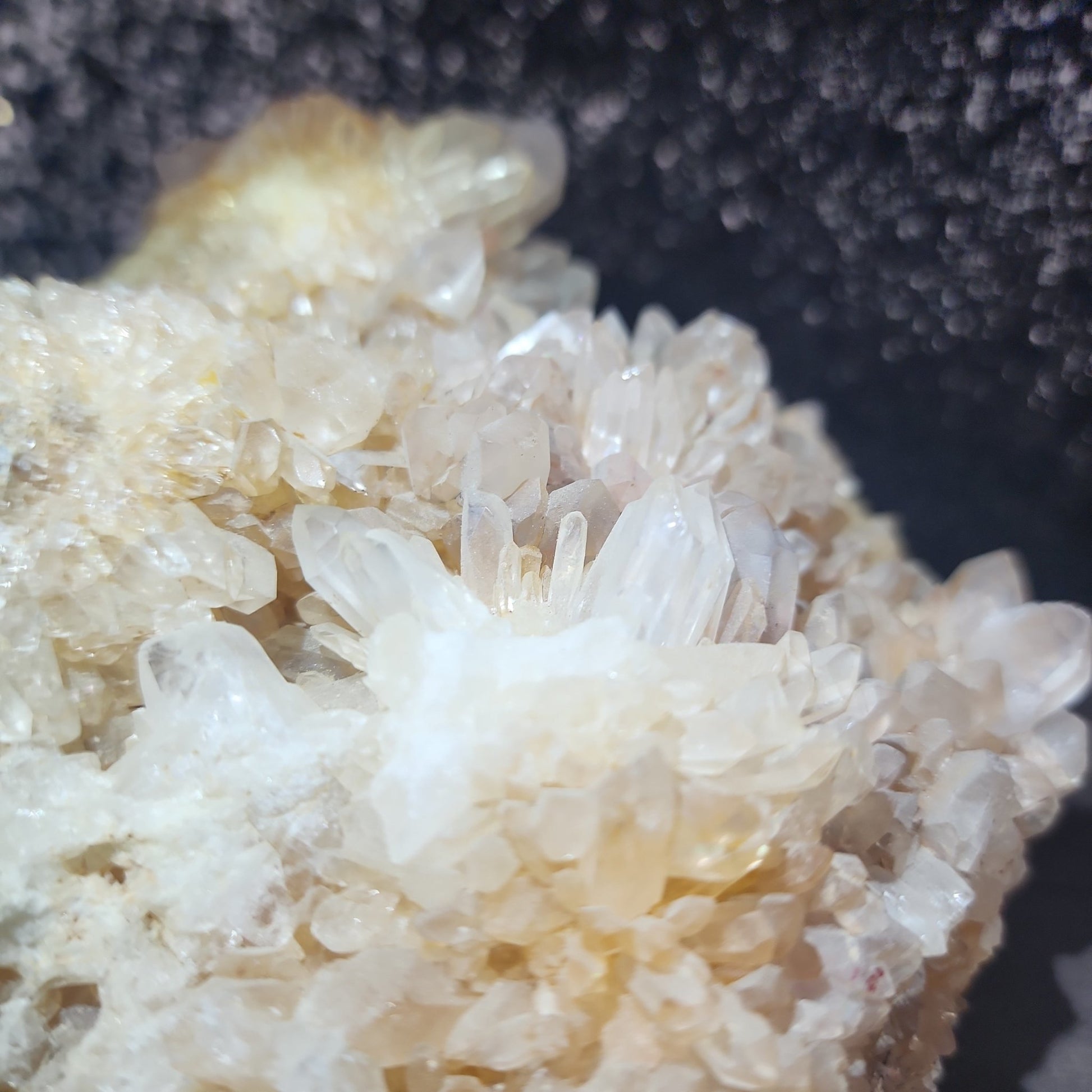 Clear Quartz Specimen - MagicBox Crystals