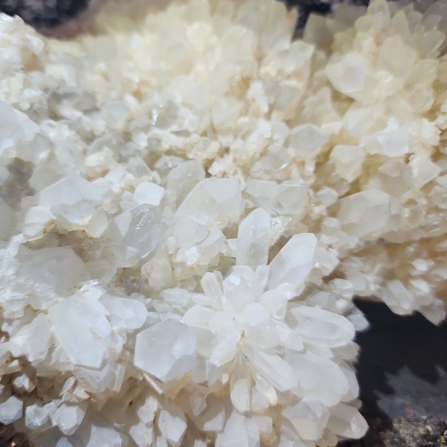 Clear Quartz Specimen - MagicBox Crystals