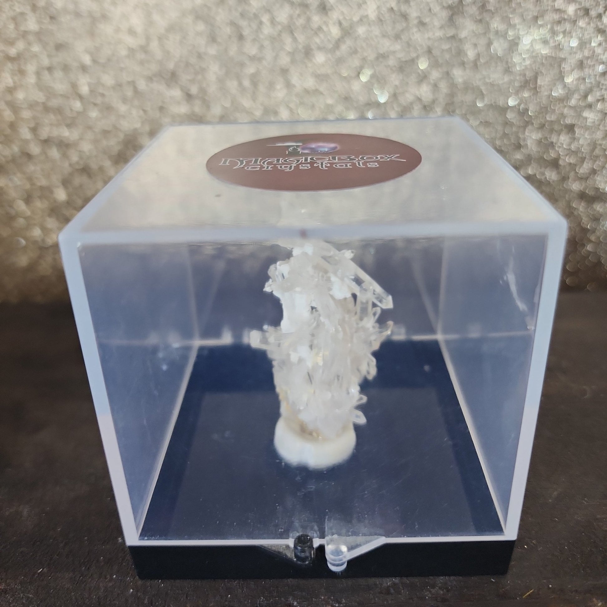 Clear Quartz Specimen - MagicBox Crystals