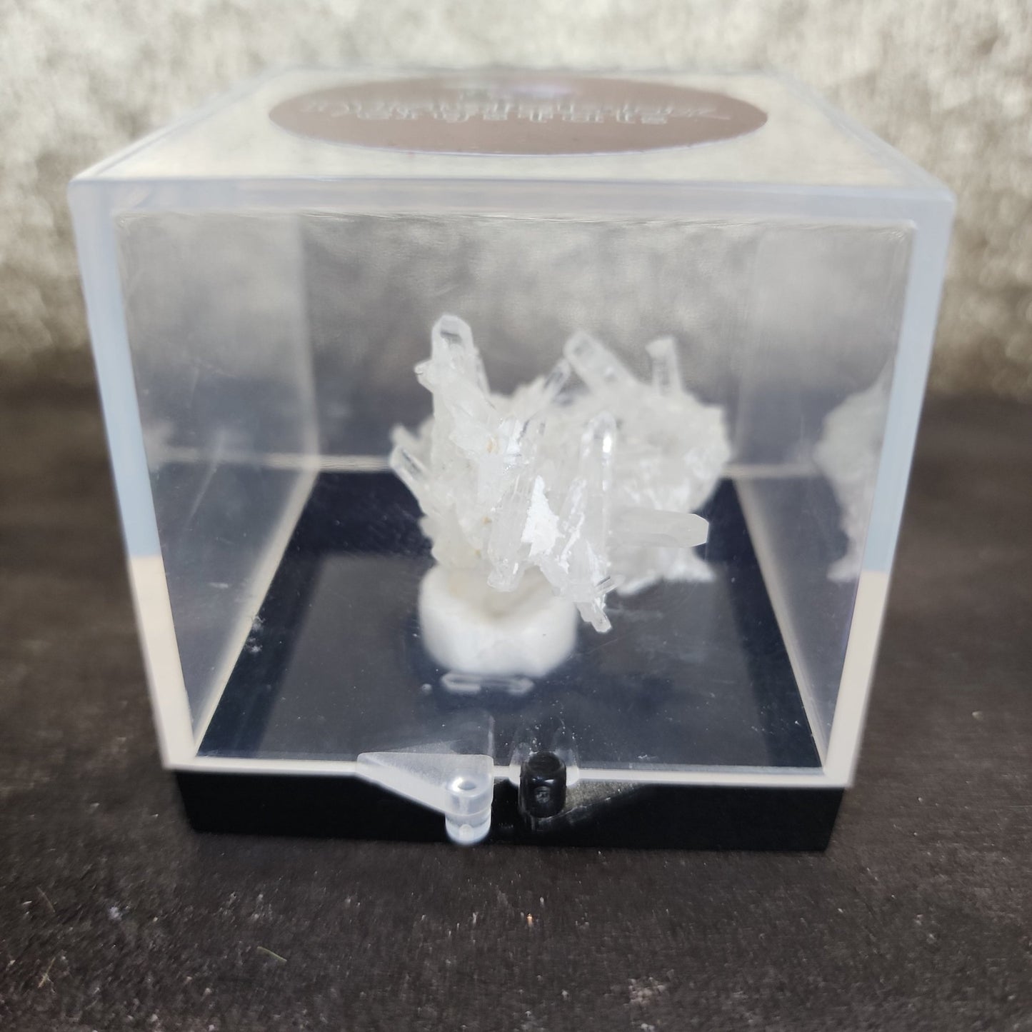 Clear Quartz Specimen - MagicBox Crystals