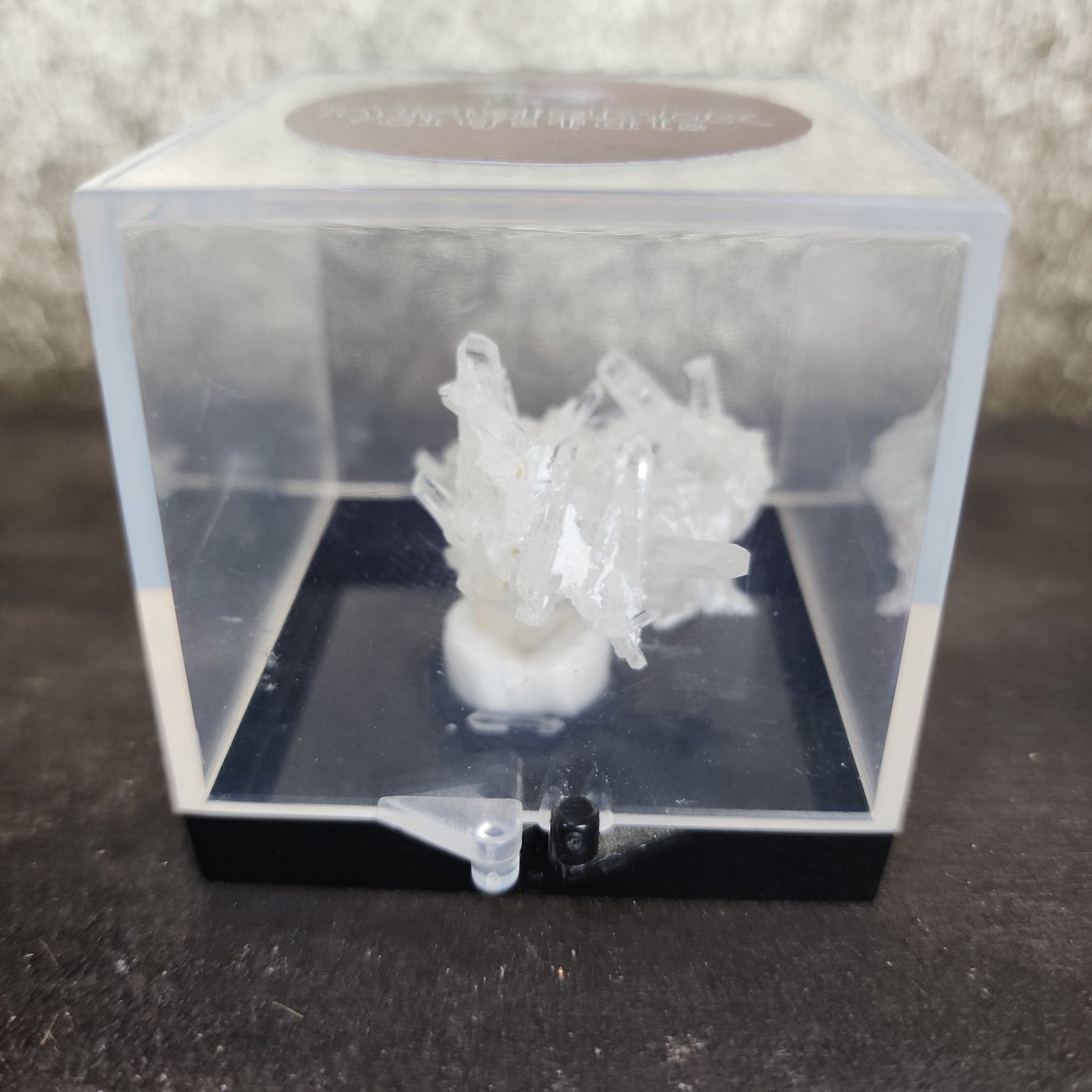 Clear Quartz Specimen - MagicBox Crystals