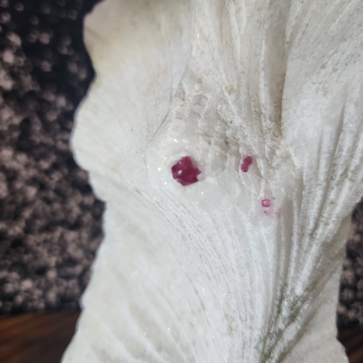 Coral with Ruby - MagicBox Crystals