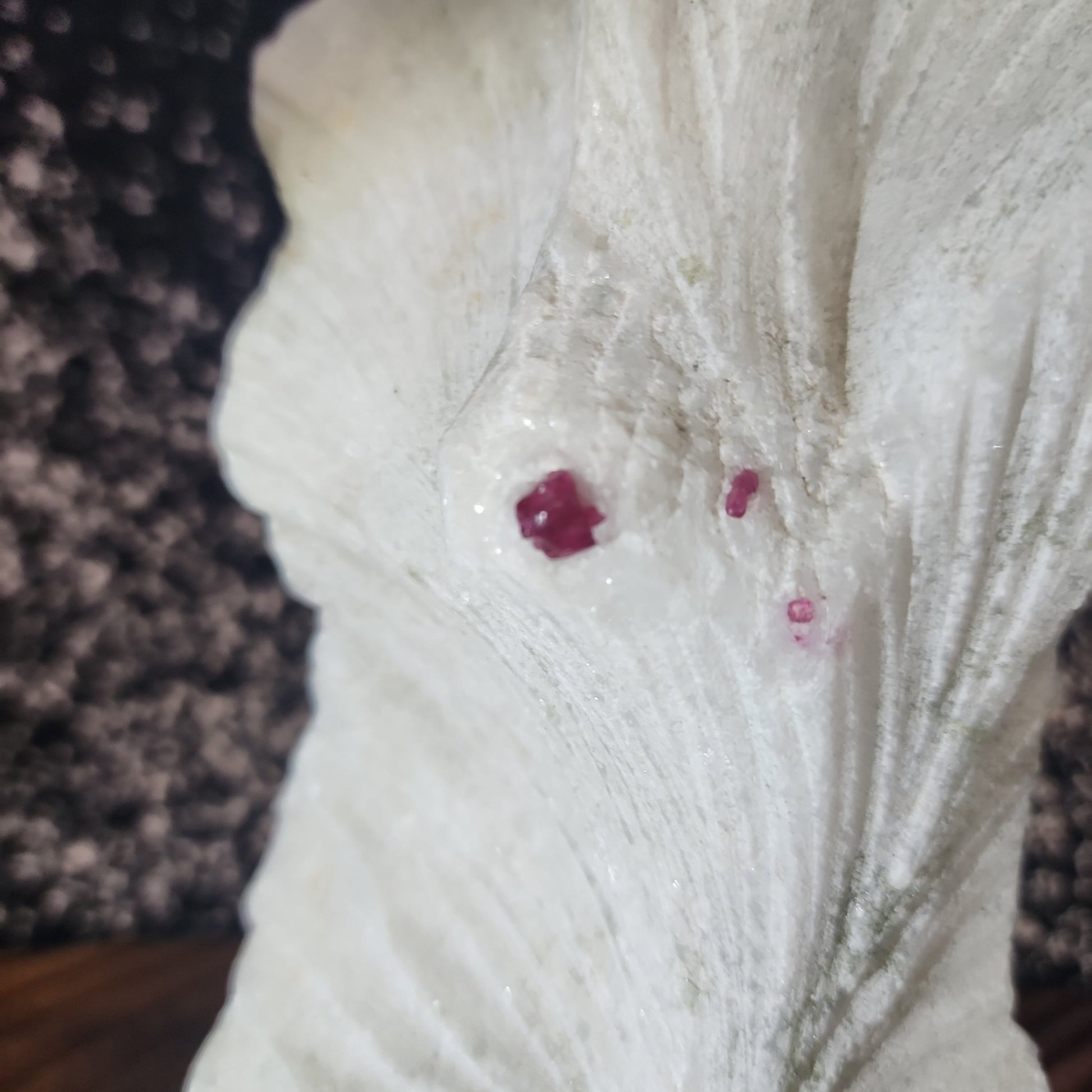 Coral with Ruby - MagicBox Crystals