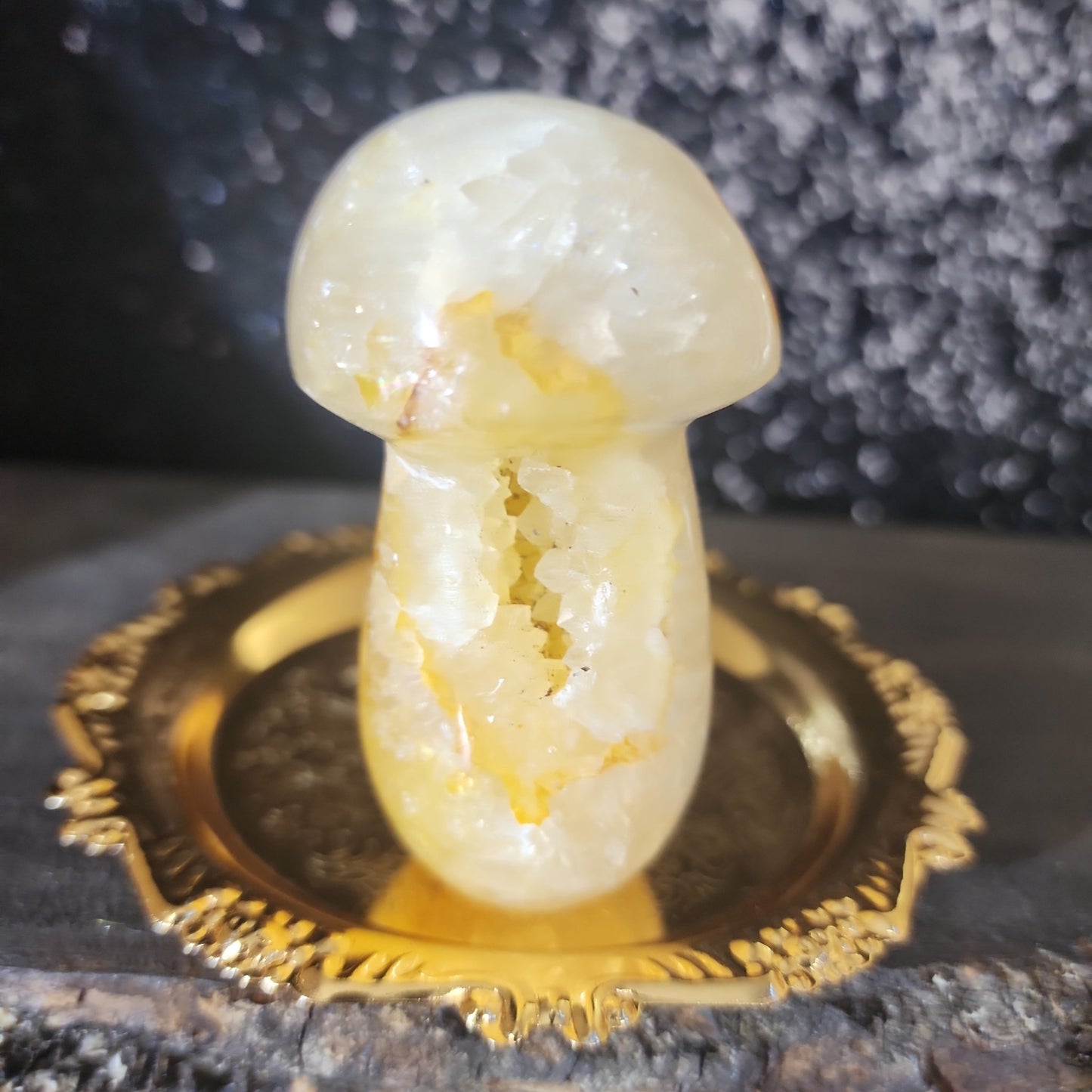 Golden Healer Mushroom - MagicBox Crystals