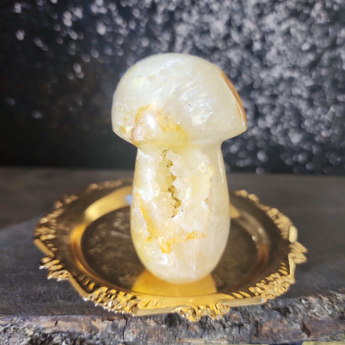 Golden Healer Mushroom - MagicBox Crystals