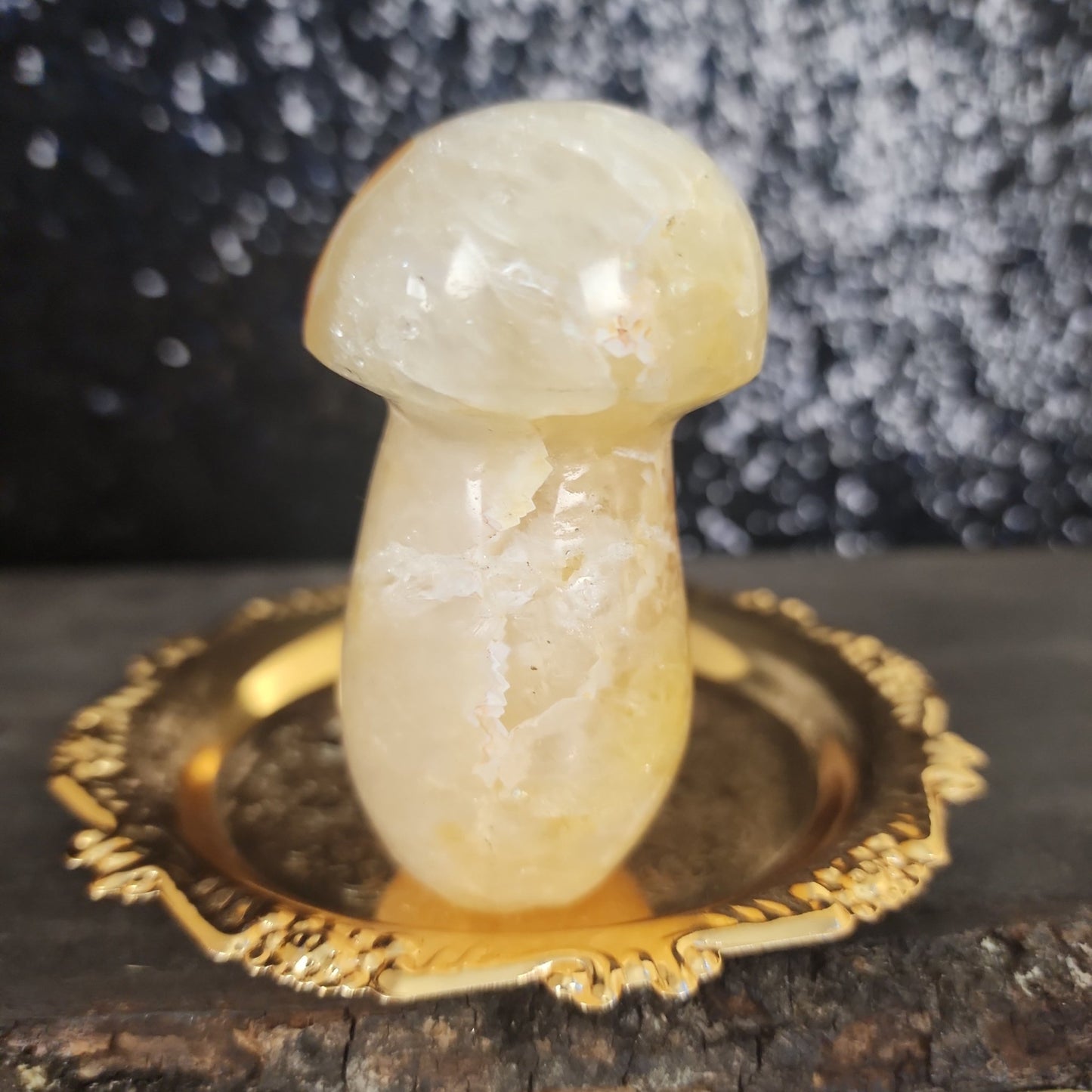Golden Healer Mushroom - MagicBox Crystals