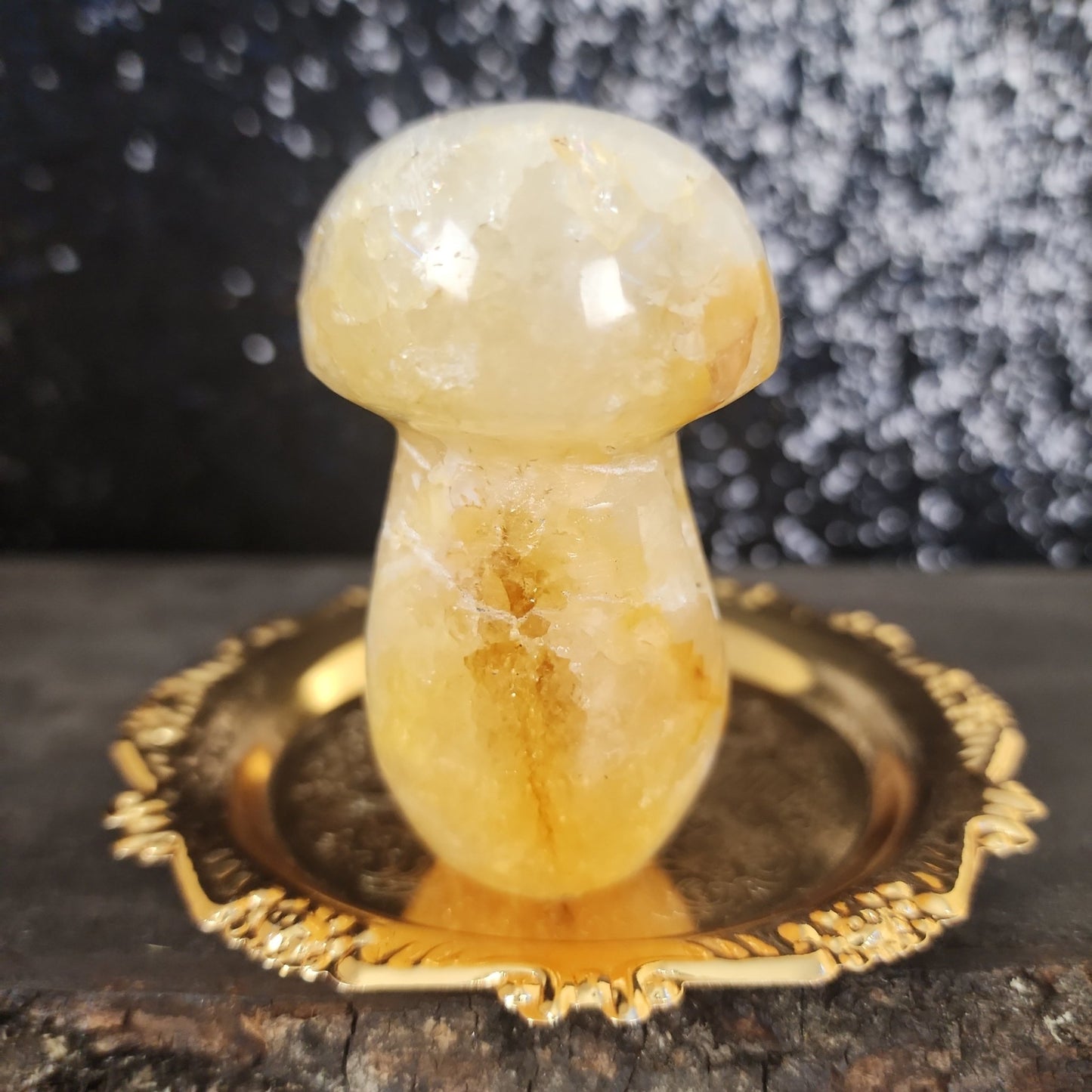 Golden Healer Mushroom - MagicBox Crystals