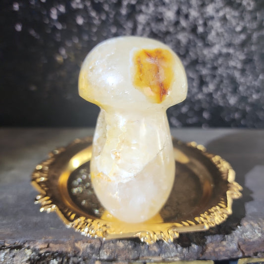 Golden Healer Mushroom - MagicBox Crystals
