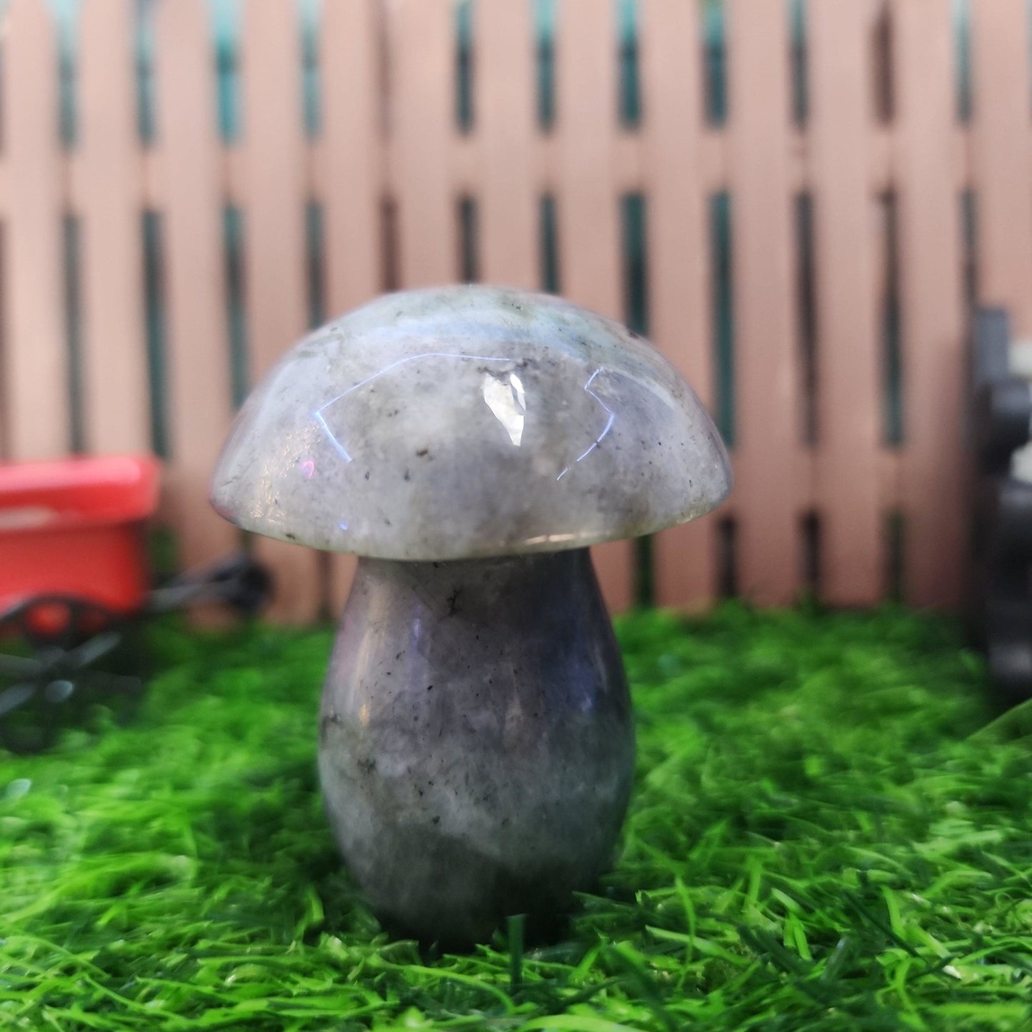 Labradorite Mushroom - MagicBox Crystals