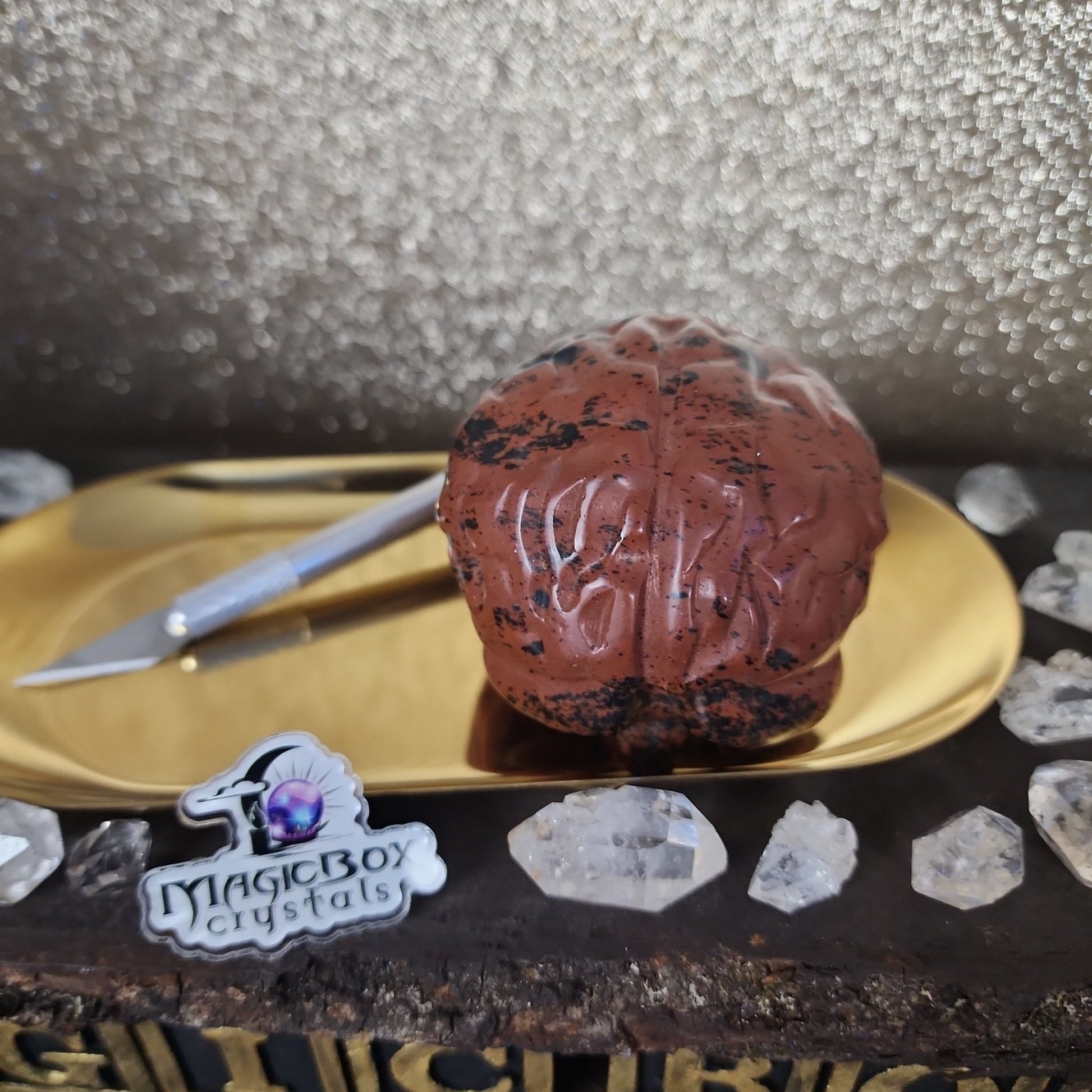Mahogany Obsidian Human Brain - MagicBox Crystals