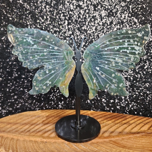 Moss Agate Butterfly Wings - MagicBox Crystals