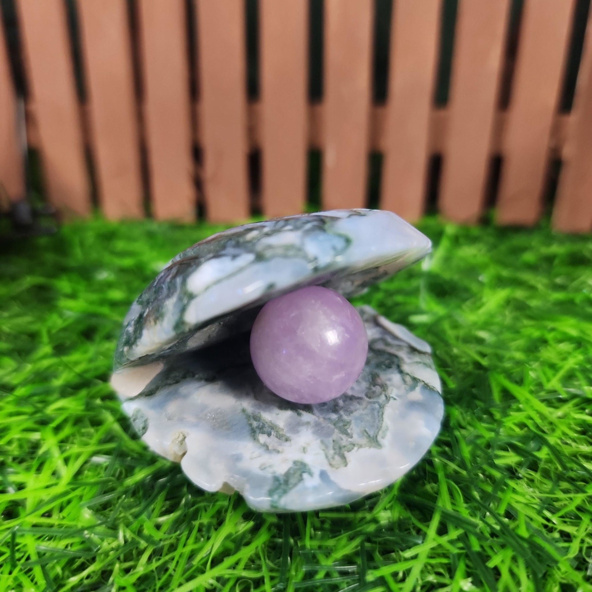 Moss Agate Clam Shell - MagicBox Crystals