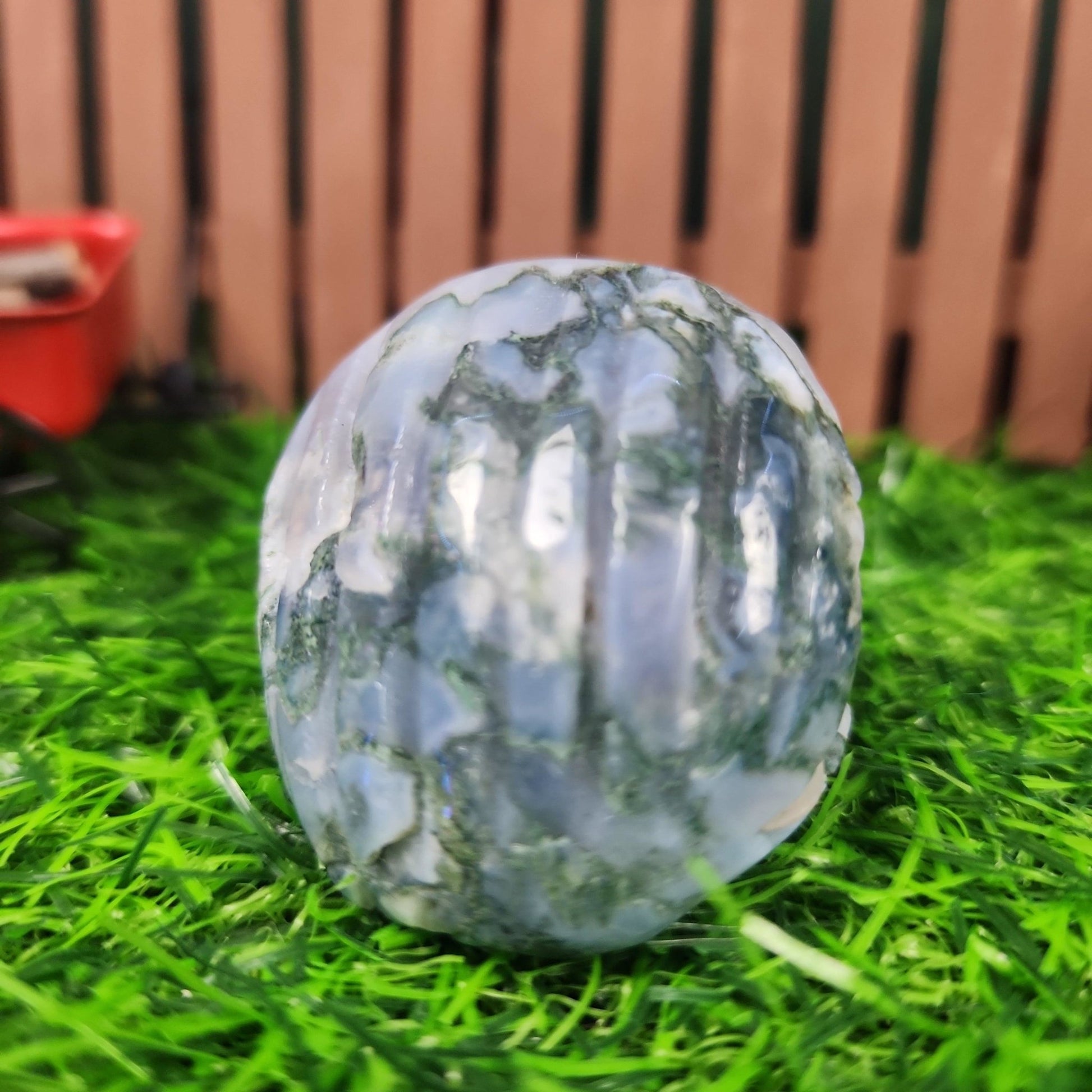 Moss Agate Clam Shell - MagicBox Crystals