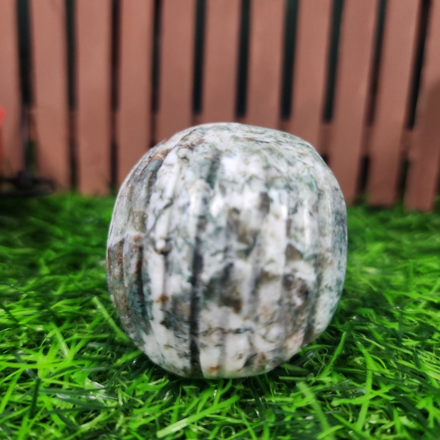 Moss Agate Clam Shell - MagicBox Crystals