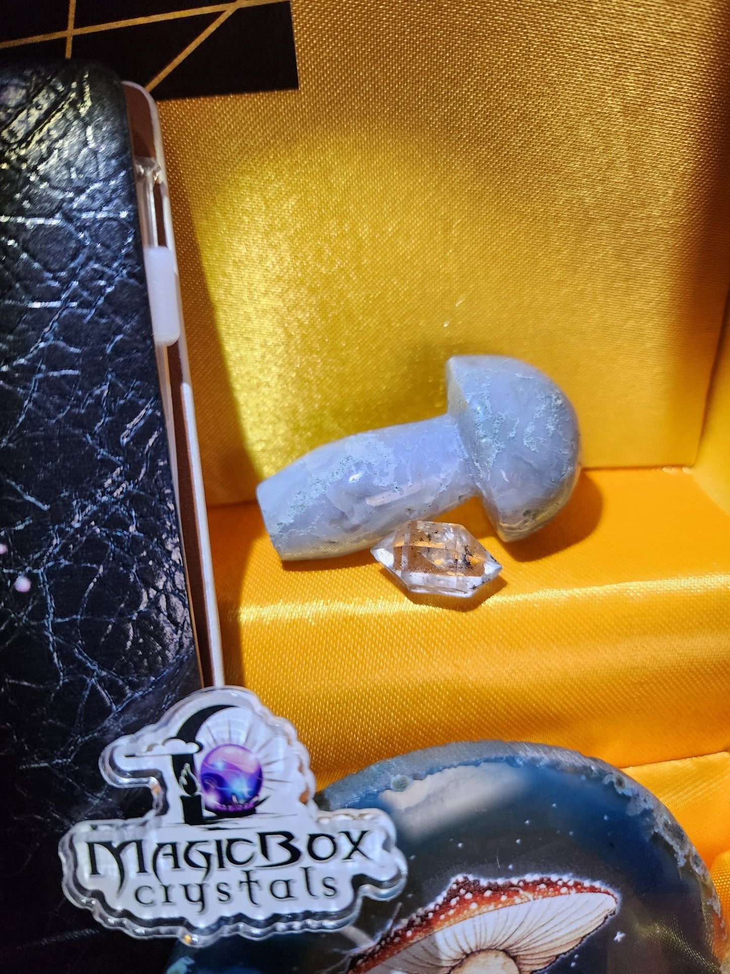 Spooky Mushroom Bundle - MagicBox Crystals