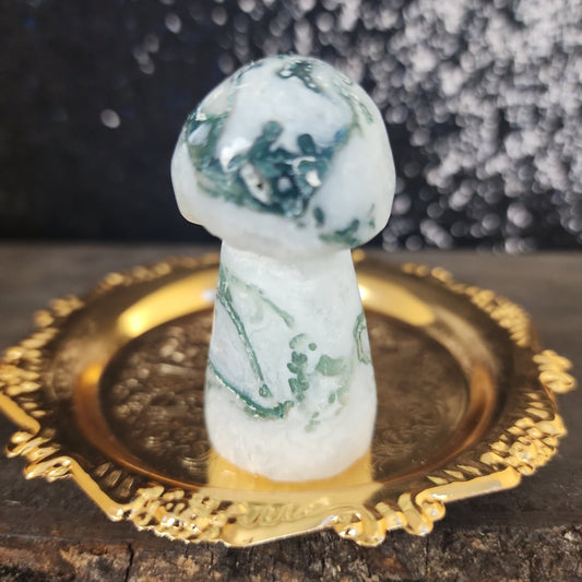 Tree Agate Mushroom - MagicBox Crystals