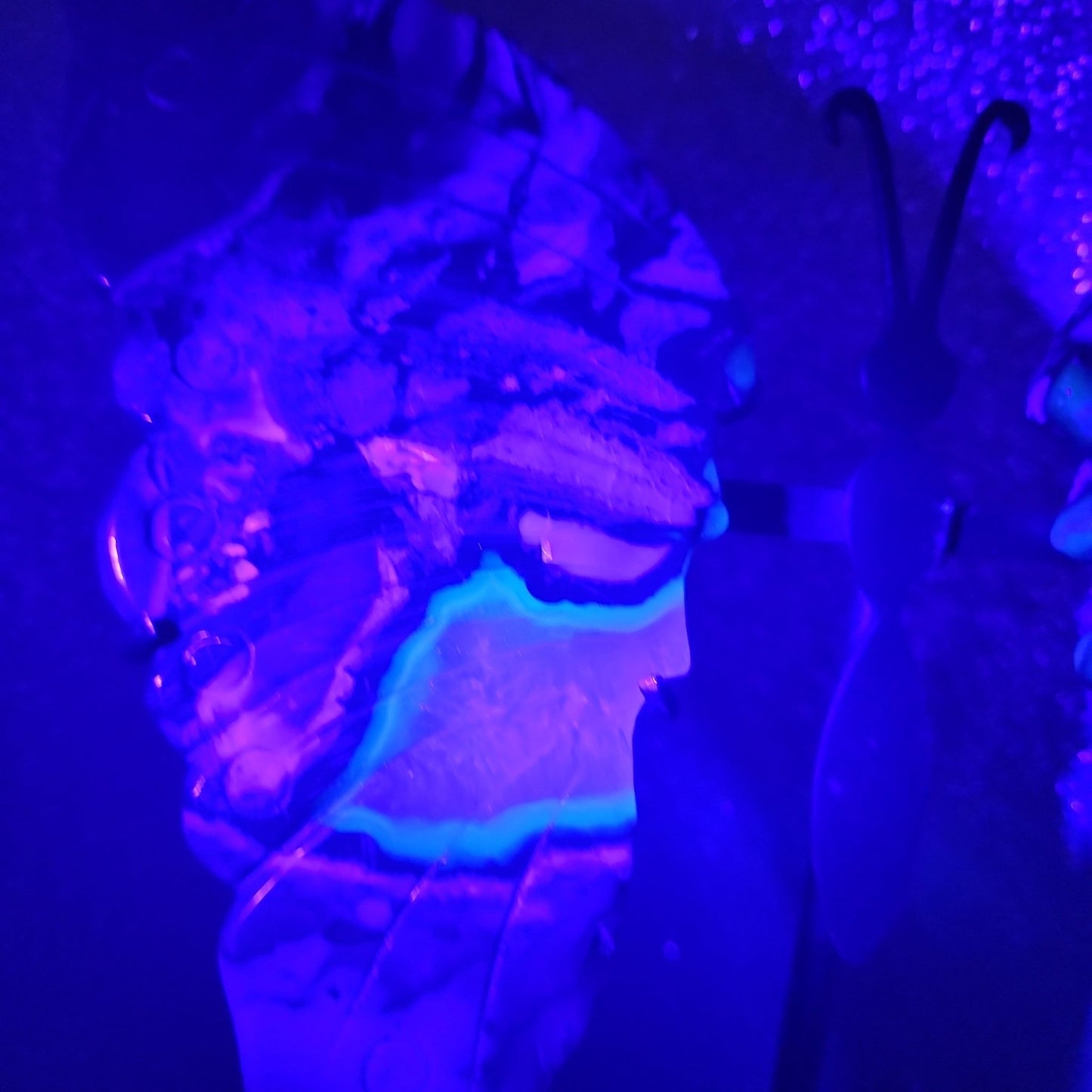Volcanic Agate Butterfly Wings - MagicBox Crystals