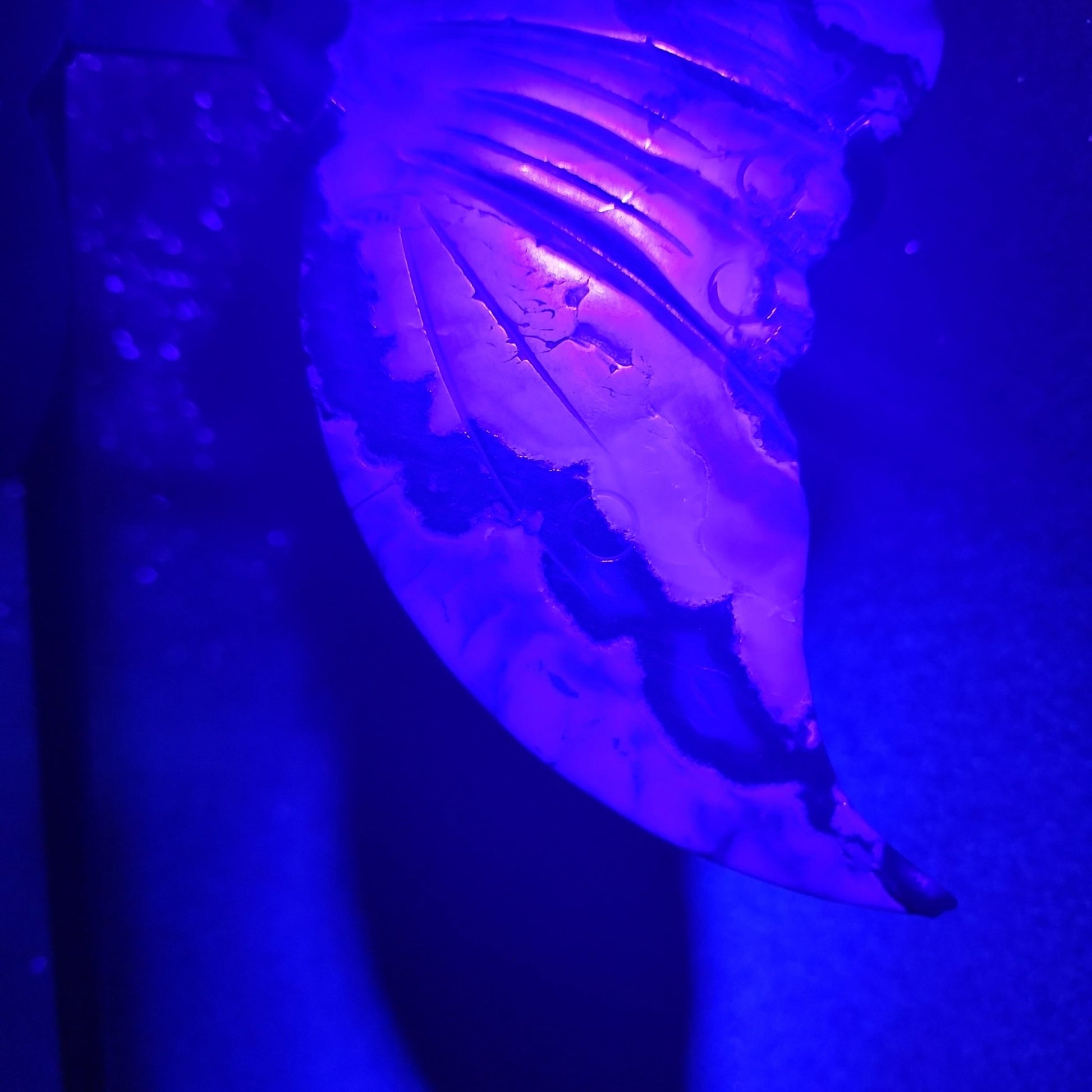 Volcanic Agate Butterfly Wings - MagicBox Crystals