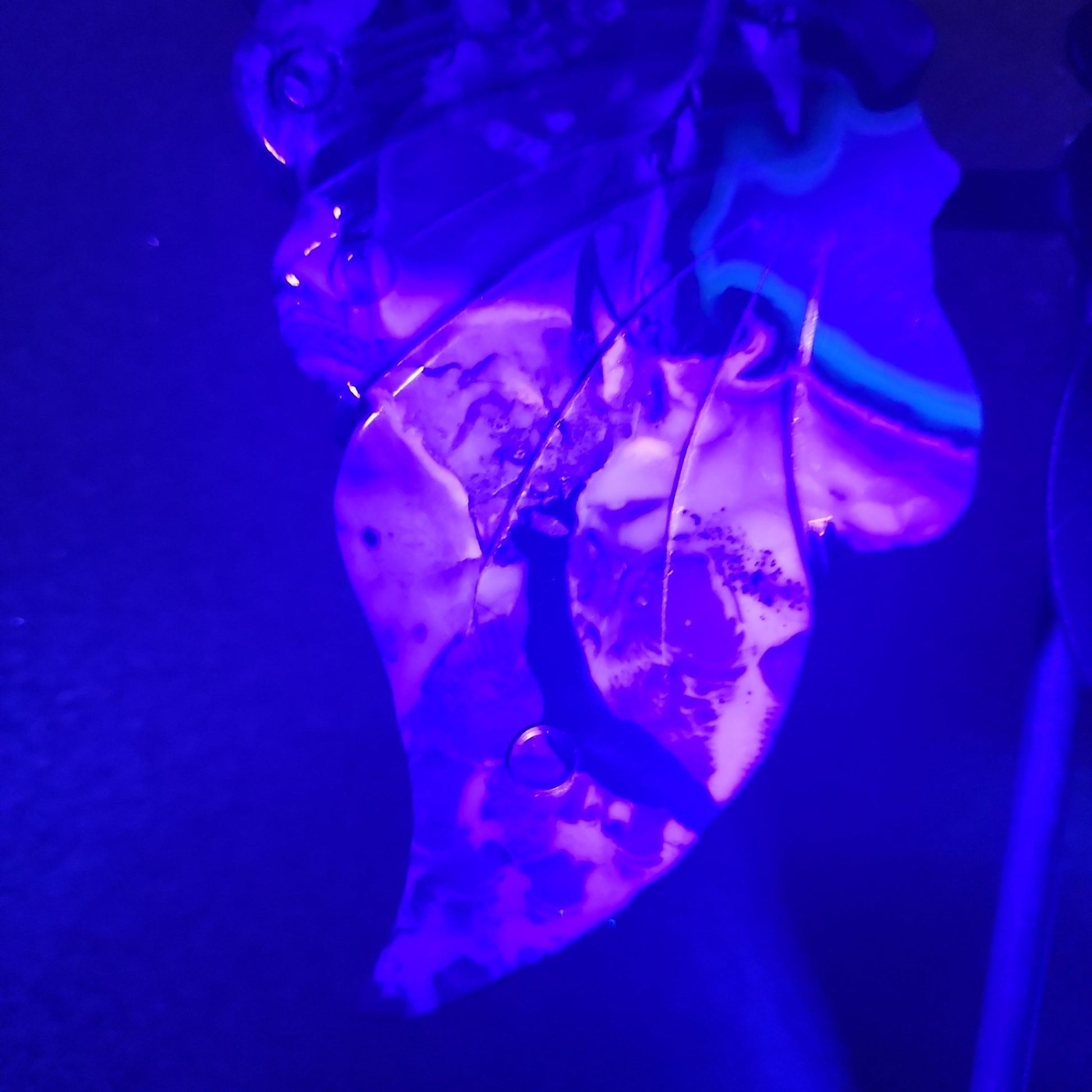 Volcanic Agate Butterfly Wings - MagicBox Crystals