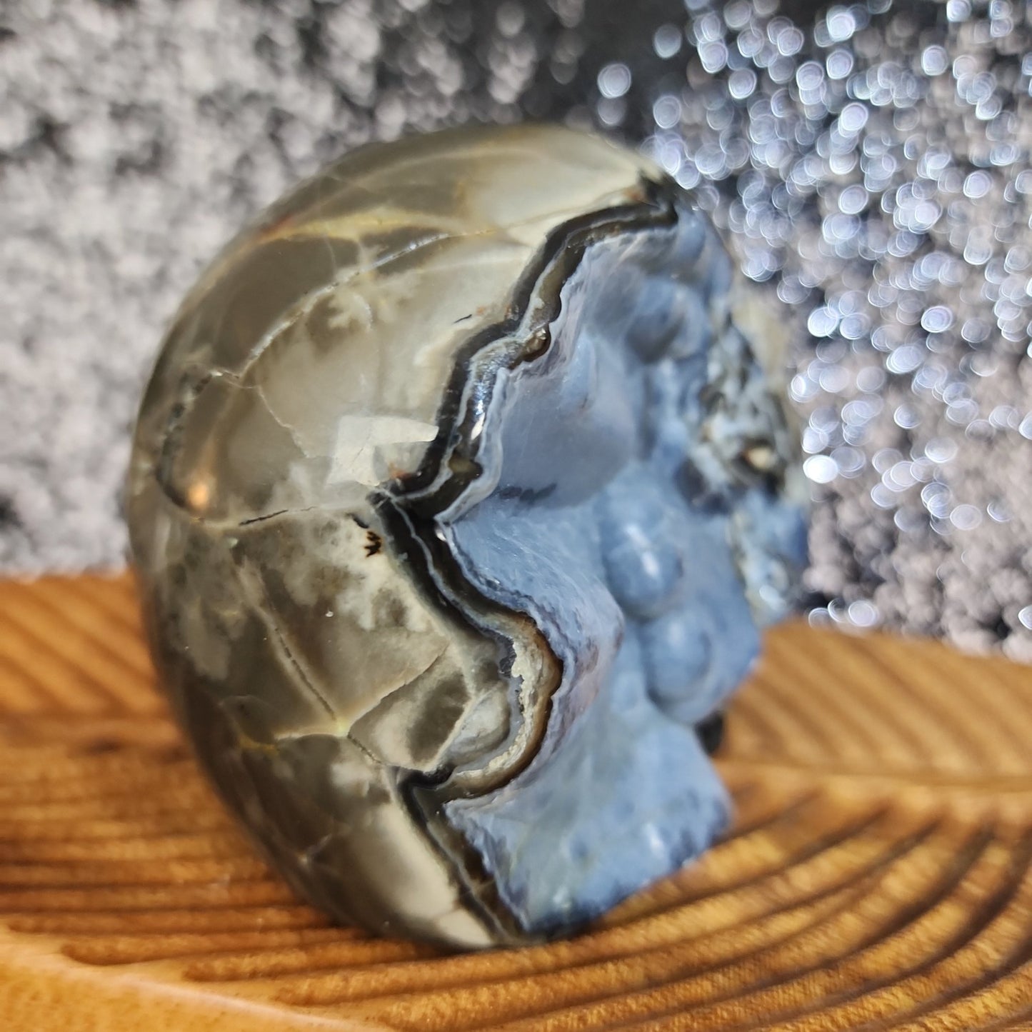 Volcanic Agate Skull - MagicBox Crystals