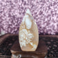 Flower Agate Tear Drop