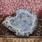 Sugar Druzy Geode