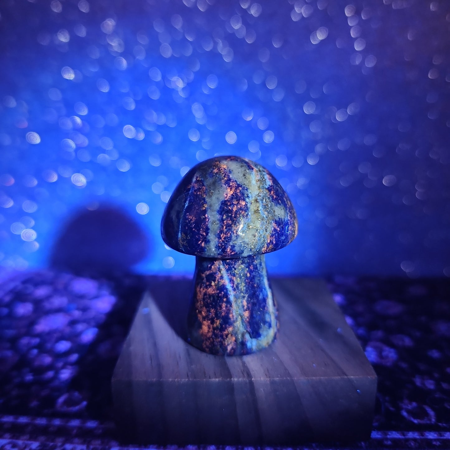 Lapis Lazuli Mushroom