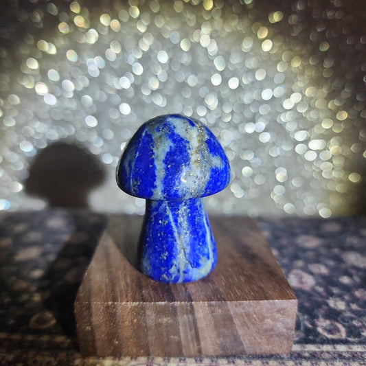 Lapis Lazuli Mushroom