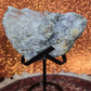 Raw Selenite Specimen with Pyrite