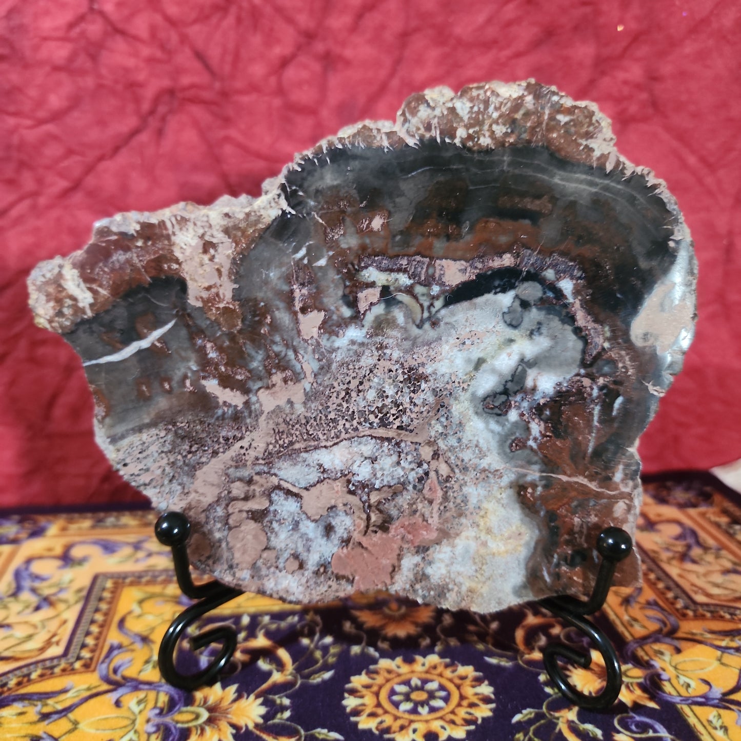 Petrified Wood with stand