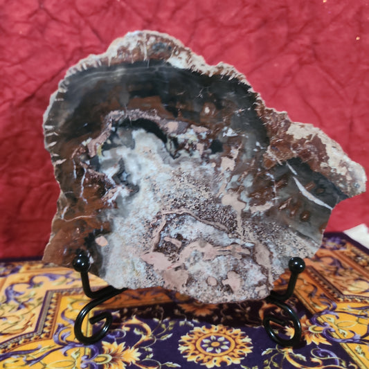 Petrified Wood with stand