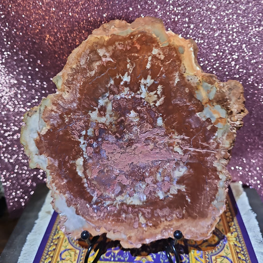 3.2lbs Petrified Wood Slab with stand