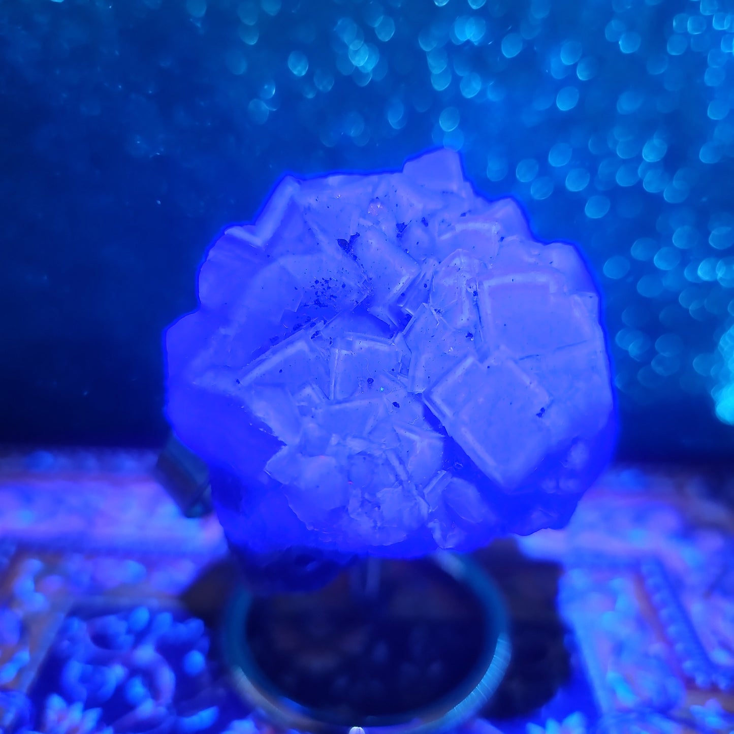 Fluorite Specimen