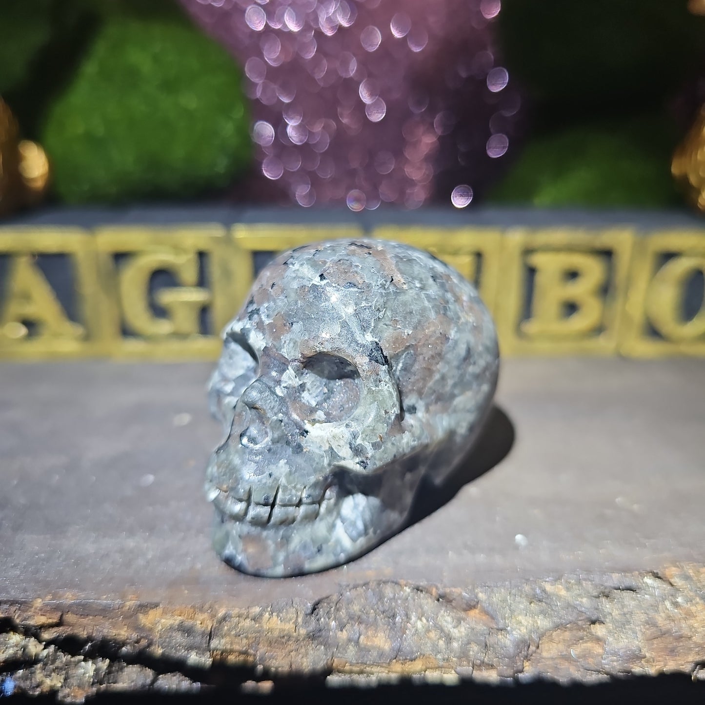Yooperlite Skull
